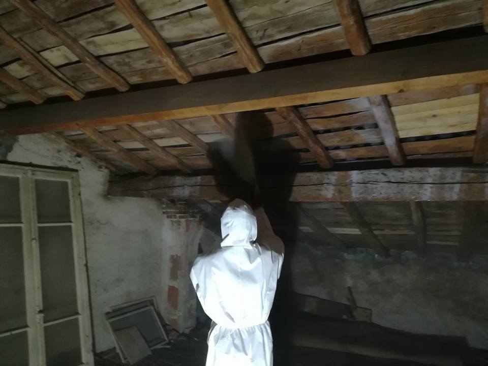 traitement charpente accz toiture